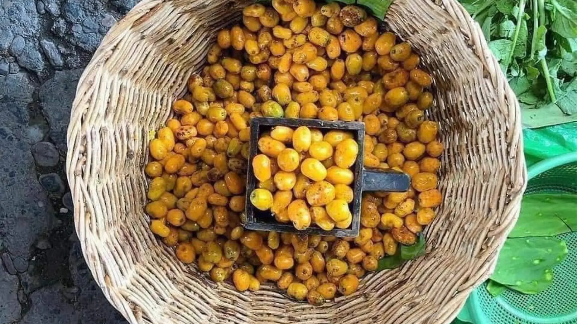 Jobo una fruta que tiene muchas propiedades parecidas a la naranja